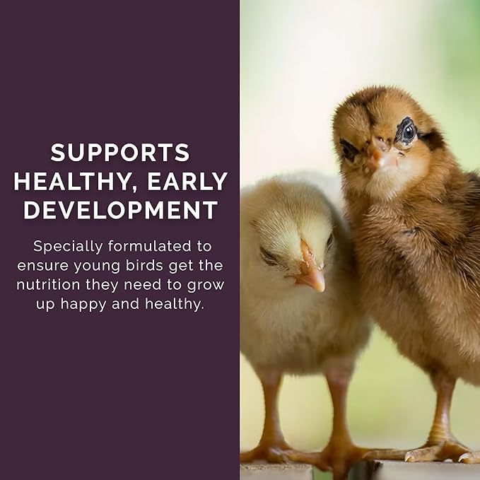 Chick Start Crumb Feed, 40lbs - Non-GMO, High Protein Chick Feed for Strong Early Growth, 21% Protein - USDA Certified Organic Blend, Soy & Corn-Free