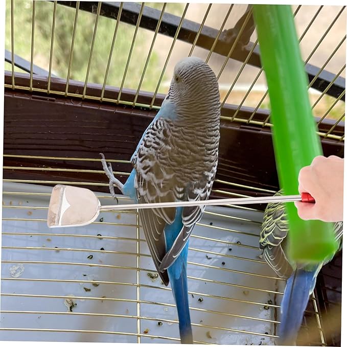 BESPORTBLE 2pcs Bird Cage Cleaning Brush Set Small Cleaning Brush Droppings Shovel for Efficient Bird Cage Maintenance for Small Animal Cages Household Cleaning Tools