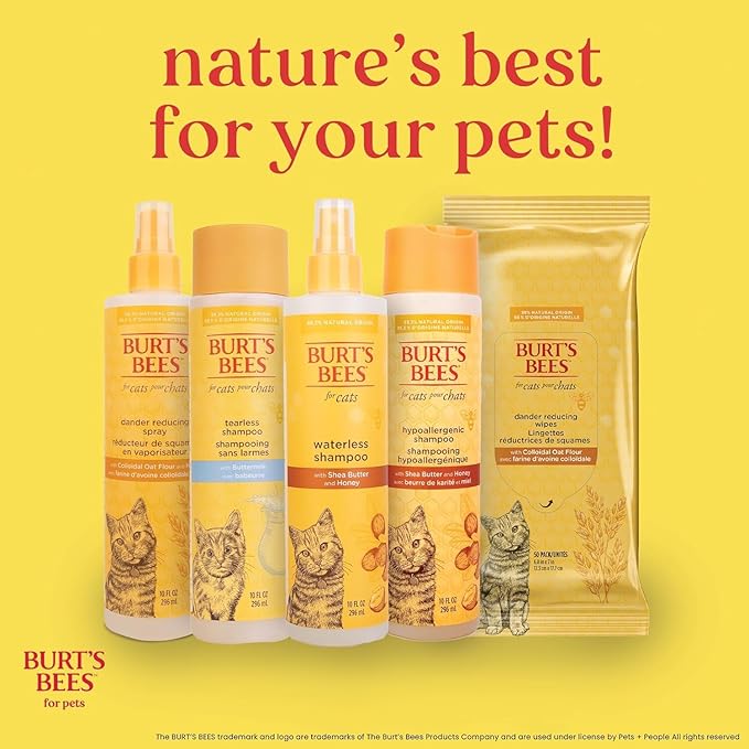 Burt's Bees for Pets Cat Dander Remover Wipes, Colloidal Oat Flour and Aloe to Soothe Dry Skin and Reduce Flaking, Unscented Grooming Cloths for Cats and Kittens, 50 Count - 6 Pack