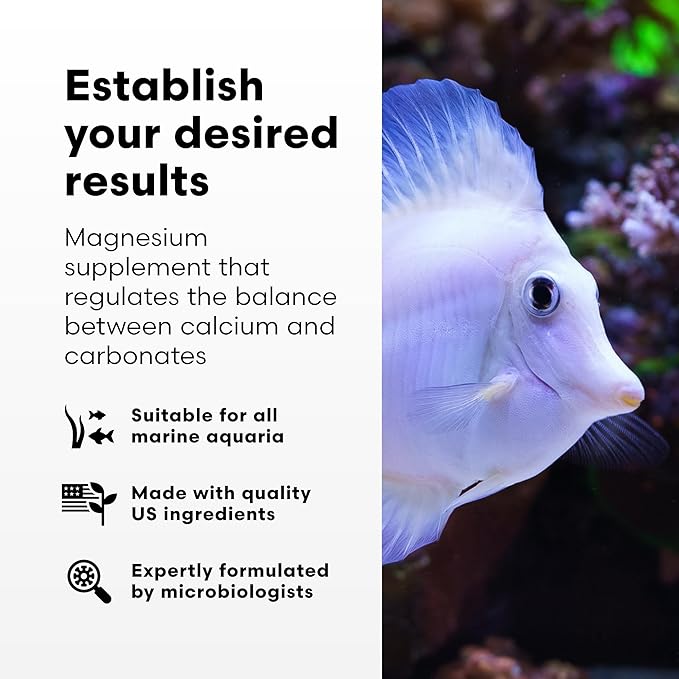 Brightwell Aquatics Magnesion Liquid Salt Water Conditioner - Concentrated Magnesium Supplement For Reef and Marine Aquariums, 8.45 fl oz