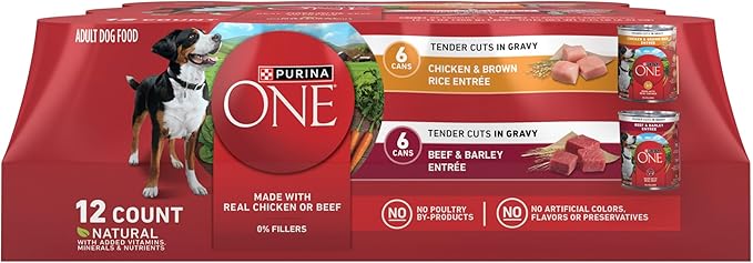 Purina ONE Tender Cuts in Gravy Chicken and Brown Rice and Beef and Barley Entrees High Protein Wet Dog Food Variety Pack (Pack of 12)