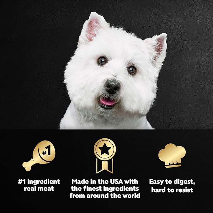 Cesar Classic Loaf in Sauce Adult Wet Dog Food Filet Mignon Flavor, Wet Food for Dogs, 3.5 oz Easy Peel Trays, 24 Count (Pack of 2)