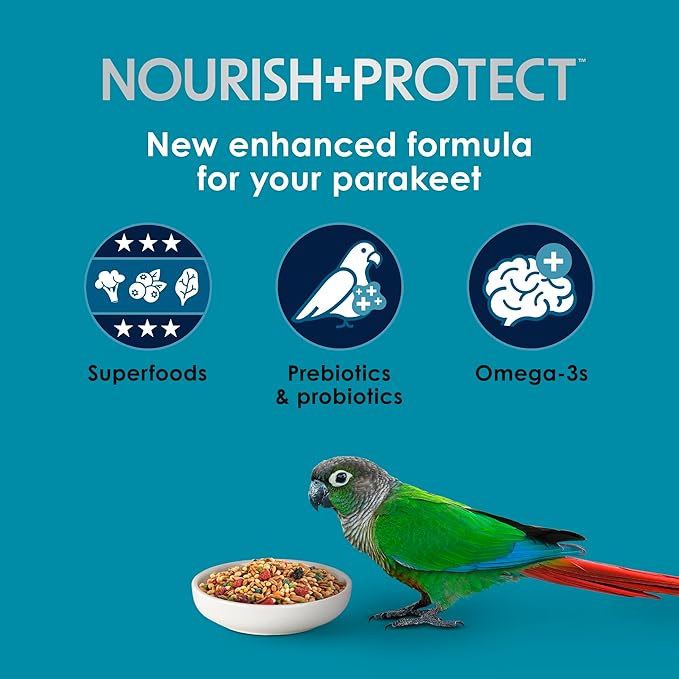 Kaytee Forti-Diet Pro Health Nourish+Protect Parakeet Food,Comprehensive Nutrition Backed by Science,Digestive Health,Immune Support,4 pounds,(Pack of 2)