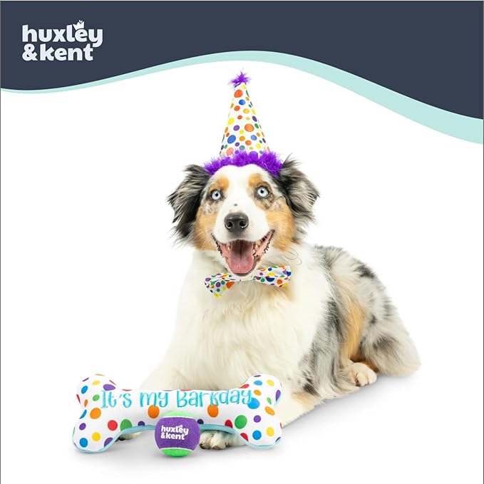 Huxley & Kent Celebration Box for Dogs - Fun Gift Kit with Plush Squeaky Toys, Party Hat, Bow Tie & Banner - Birthday, Gotcha Day & Special Occasion Dog Kit - Happy Barkday Box, Small