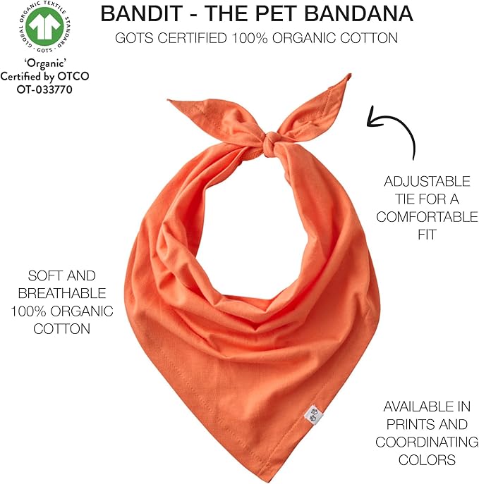 Pet Passion Bandit - THE PET Bandana 100% Organic Cotton Pet Bandanas Clothes for Small, Medium, Large Dogs, 2-Pack Candy Corn, Medium/Large