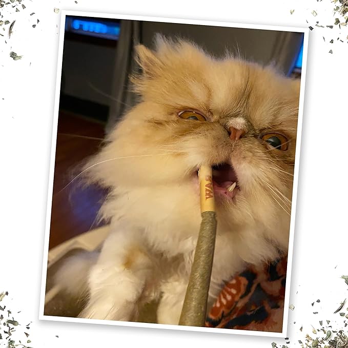 Meowijuana Meowi-Waui Bundle | King Size Catnip Rollies and Meowi-Waui | Hand Harvested and Rolled Dried High Potency Catnip | Grown in North America