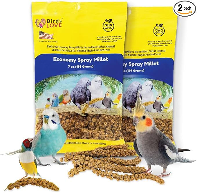Birds LOVE Economy Special Spray Millet | GMO-Free (No Stems Only Edible Tops) for Birds Cockatiel, Lovebird, Parakeet, Finch, Canary All Parrots Healthy Treat 7 oz -Pack of 2