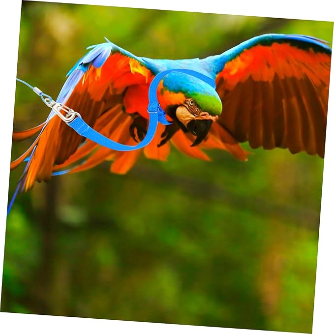 NOLITOY 8pcs Birdcages Accessories Parrot Harness Leash for Outdoor Flying Lightweight and Bird Harness Kit