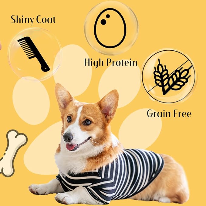 Dog Treats, Chicken Chips Grain Free Chewy Dog Snacks for Training Rewards
