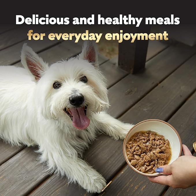 Cesar Filets in Gravy Adult Wet Dog Food Variety Pack, Filet Mignon, New York Strip, and Prime Rib Flavors, 3.5 oz. Easy Peel Dog Food Tray, 24 Count (Pack of 1)