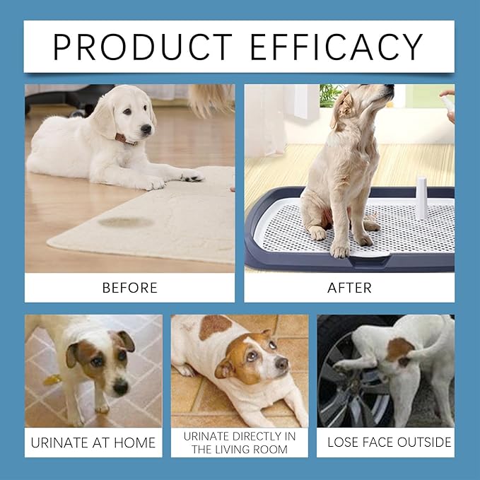 Pet Potty Training Sprays Restroom Guide Defecation Inducer Enhances Potty Training Efficiency with Natural Extracts 50ml Dog Trainer