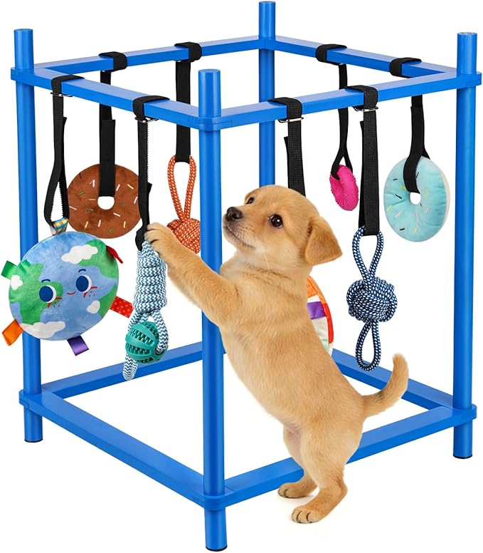 Wooden Puppy Play Gym for Small Dogs, Puppy Jungle Gym with 8 Hanging Toys, Wood Frame Indoor Puppy Gym with Dog Enrichment Toys for Puppies and Small Pets (Blue)