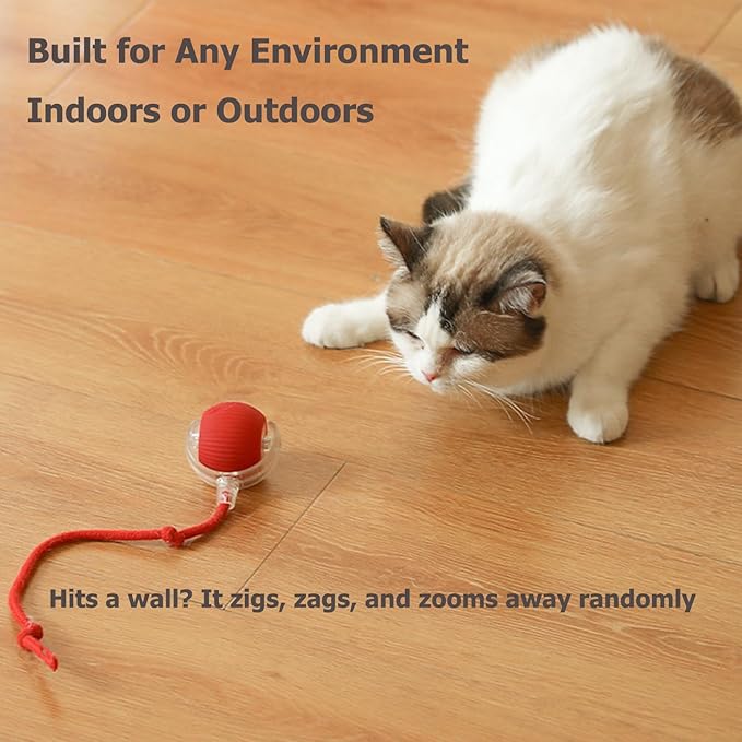 Interactive Electric Ball for Cats and Dogs – USB Rechargeable Automatic Chase Toy with Speedy Tail, Self-Playing Moving Pet Toy to Keep Them Busy. Ideal for Bored Indoor Cats & Anti-Boredom (Red)