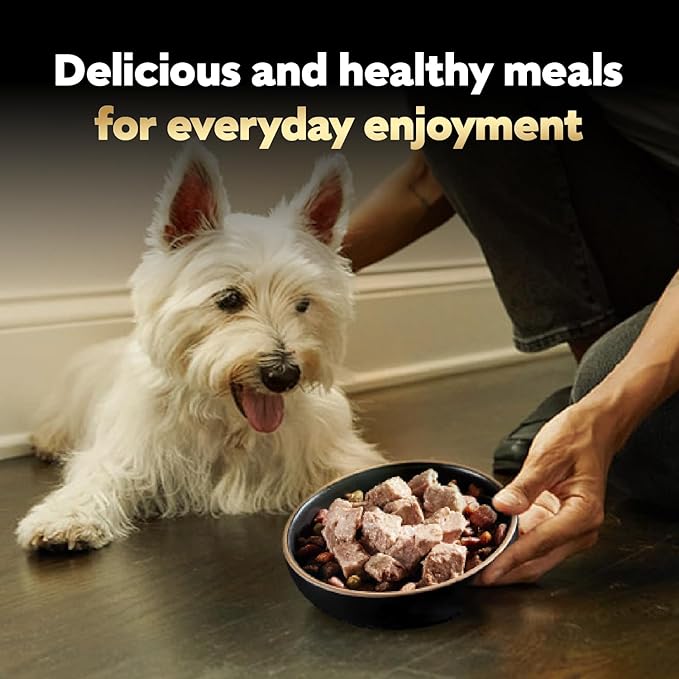 Cesar Classic Loaf in Sauce Adult Wet Dog Food Chicken and Liver Recipe, Wet Food for Dogs, 3.5 oz Easy Peel Trays, 24 Count (Pack of 2)