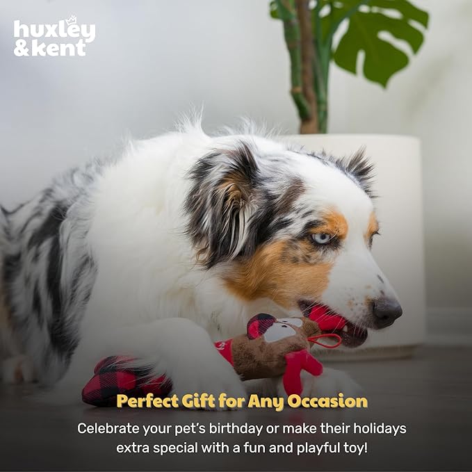 Huxley & Kent Funny Dog Toy w/Squeaker – Holiday Power Plush Squeaky Dog Toys for Small, Medium & Large Dogs – Soft Stuffed Animal for Indoor Play & Fetch - Reindeer Bone, One Size