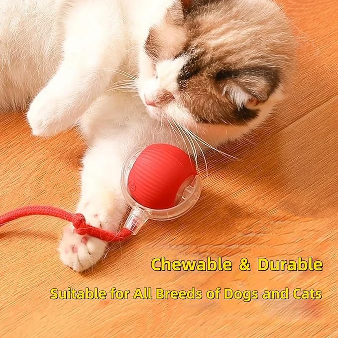 Interactive Electric Dog Ball Toy - Smart Automatic Rolling Cat Toy With Replacement Rope for Indoor Pets (Grey)