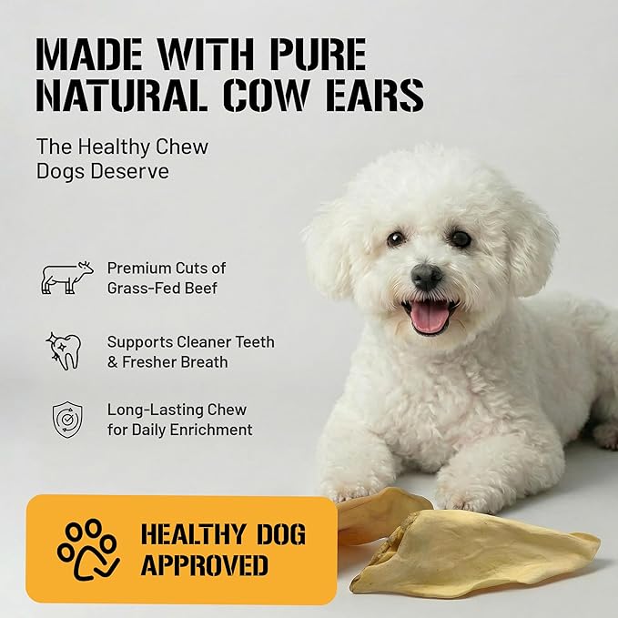 Dog Chits Cow Ears for Dogs – All Natural Cow Ear Dog Treats & Training Chews – High Protein, Low Fat – Thick Cut, Half Ears – Dental Clean Crunch – Ideal for Medium & Large Dogs – Large, 10 Pk