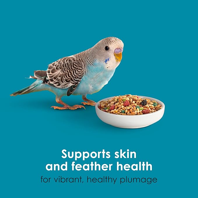 Kaytee Forti-Diet Pro Health Nourish+Protect Parakeet Food,Comprehensive Nutrition Backed by Science,Digestive Health,Immune Support,4 pounds,(Pack of 2)