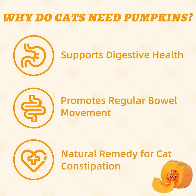 Wellix Cat Treats Pumpkin&Chicken & Pumpkin Raw Treat