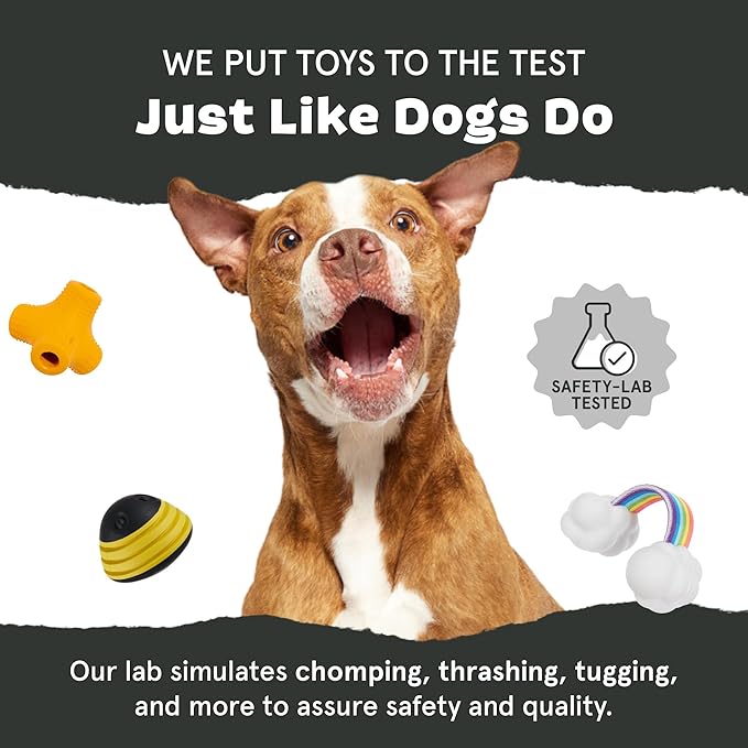 Barkbox Turkey Barker Dog Toy for Large Aggressive Chewers, Turkey-Scented Rip & Reveal Toy for Engaging and Durable Playtime