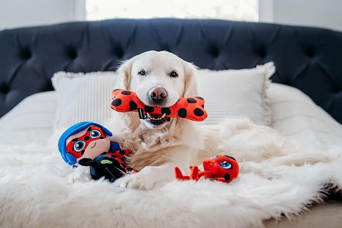 ZippyPaws - Miraculous Patterned Bone – Lucky Charm