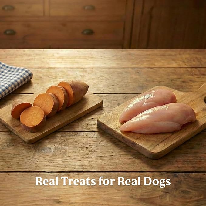 Bil-Jac Grain Free Soft Treats for Dogs, Chicken and Sweet Potato Flavor, Made with Real Chicken Liver, 10oz (2-Pack)