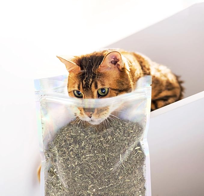 Organic Catmint, Natural Dried Catnip with Leaves & Flowers, Use for Refillable Catnip Toys for Cats, Delicately Dried and Sealed and Packaged for Easy Preservation