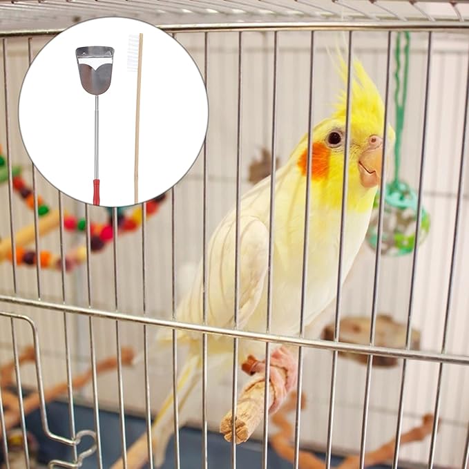 balacoo 4pcs Parrot Cage Cleaning Brush and Shovel Set Telescopic Handle Tools for Easy Birdcage Maintenance Suitable for Pets Like Hamsters Guinea Pigs and