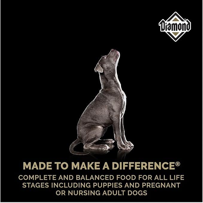 Diamond Puppy Dry Dog Food 31/20 for All Life Stages Including Puppies and Pregnant and Nursing Adult Dogs 6lb Bag