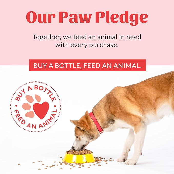 SKOUT'S HONOR Prebiotic Pet Balm - 100% Natural and Made with Manuka Honey to Promote Healing of Your Pet's Paw Pads and Nose, Soothes Dry, Itchy Paws and Noses - Safe for Cats and Dogs, 2oz