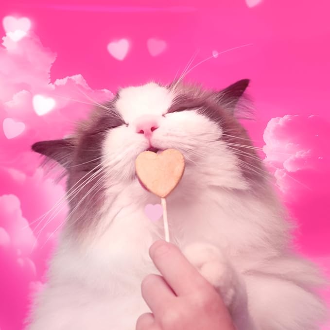 Bonkers Purrpops Freeze-Dried Chicken Liver Flavored Lollipop Treats for Cats, 4 Pieces (Pack of 13)