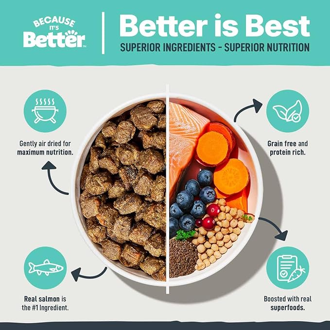 Because It’s Better Slow Baked & Air Dried Dog Food - Real Salmon & Veggies - Complete & Balanced Dry Dog Food - Grain Free, High Protein, Natural Nutrition for All Life Stages, 3 lb Bag