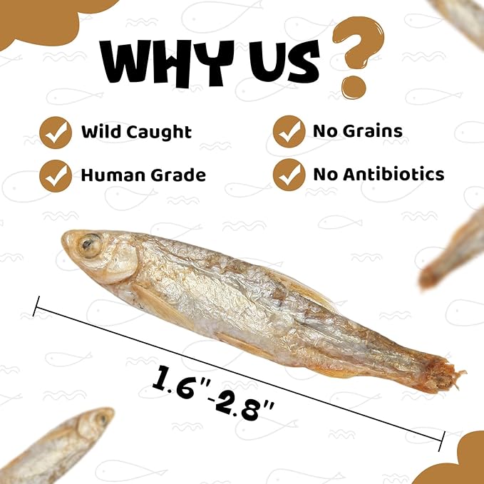 Minnows - Freeze Dried Minnows for Dogs & Cats, 100% Natural Single Ingredient Training Treats, Premium High Protein Snacks, Grain Free (8 oz)