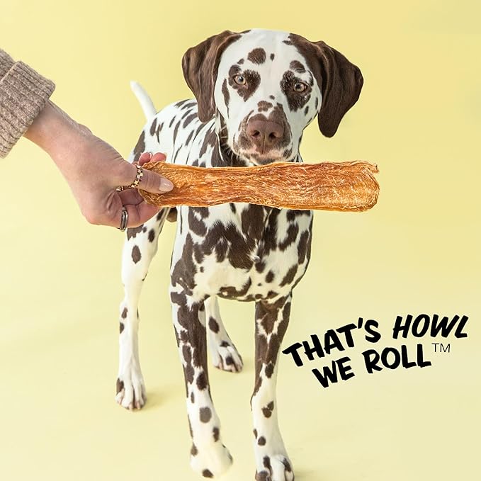 Polkadog Chicken Strip Jerky Dog Treats - Farm-Raised Chicken, All Natural, Single Ingredient, Lean Protein & Omega-3 Rich Snacks for Dogs, Great for All Breeds, Made in USA - 2lb