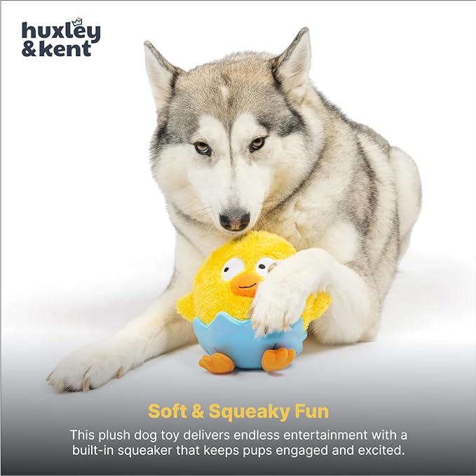 Huxley & Kent Funny Dog Toy w/Squeaker – Power Plush Squeaky Dog Toys for Small, Medium & Large Dogs – Soft Stuffed Animal for Indoor Play & Fetch - Chick-a-Dee, Small