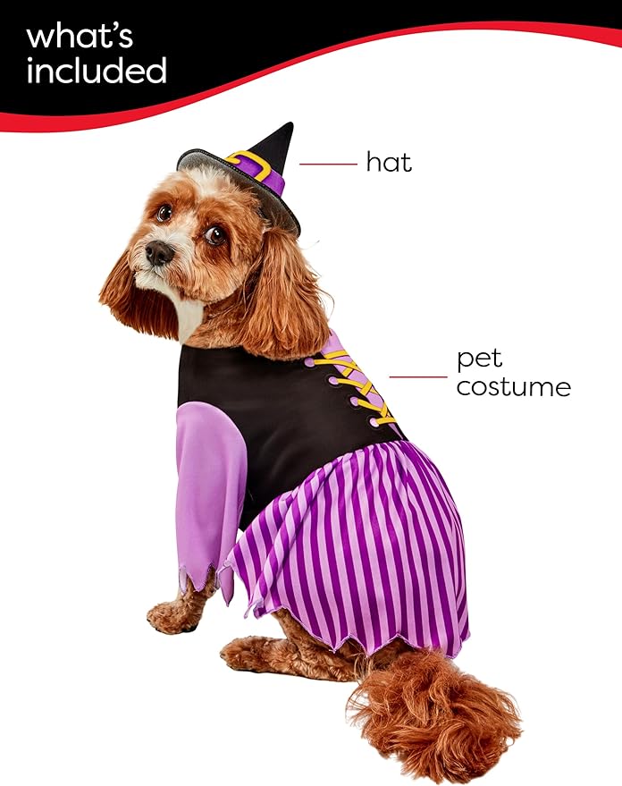 Rubies Witch Pet Costume for Dogs or Cats, Small