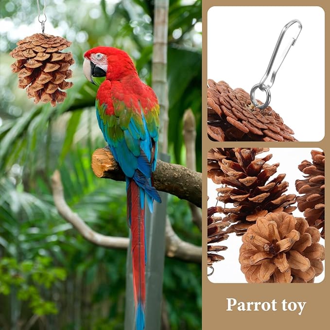 POPETPOP Hanging Parrot Chewing Toy Natural Pine Cone Bird Cage Toy for Foraging and Beak Exercise Durable Bite-Resistant Plaything for Parakeets Cockatiels Conures