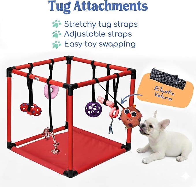 Race&Herd Puppy Play Gym, Dog Play Mat, 8 Bungee Straps Interactive Puppy Active Toys - Small Dog Jungle Gym 19.5" Frame with Playground Set Indoor Enrichment Activity Center (Red)