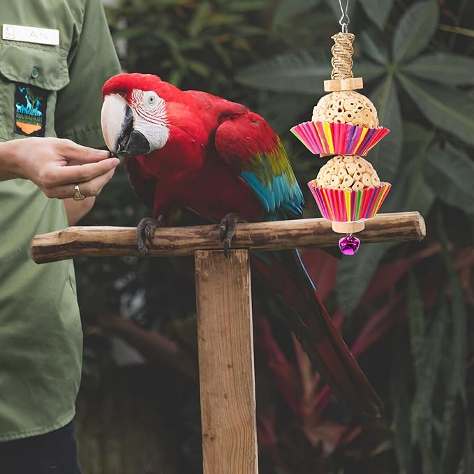 BESTonZON Parrot Chewing Hanging Bird Cage Accessory with Natural Rattan and Two Shreddable Balls for Parakeets and Small Birds to Chew and Play