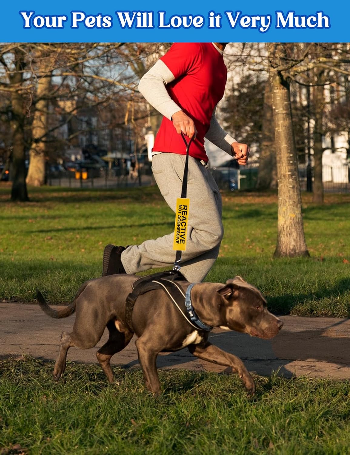 Reactive Dog Leash Sleeve - Funny Yellow Wrap with 'Do Not Pet' Patch - Alert Hanging ID Tag - Perfect for Dog Owners