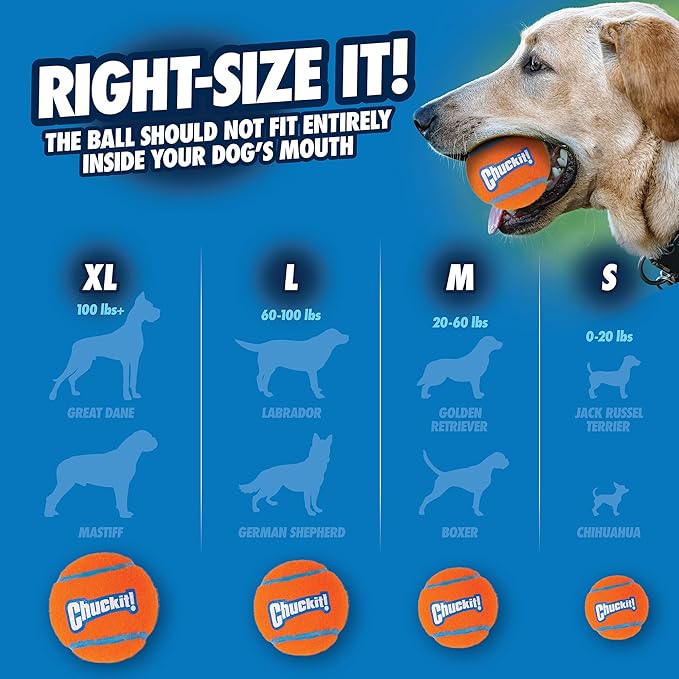 Chuckit! Dog Tennis Ball Dog Toy, Medium (2.5 Inch Diameter) for dogs 20-60 lbs, Pack of 4
