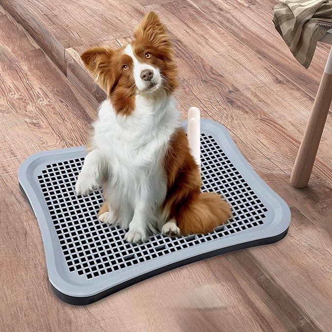 Pet Pee Toilet Puppy Potty Tray Easy to Clean Litter Bedding Box Potty Trainer Training Pads for Pets Accessories Kitten Bunny Small Animals, Black