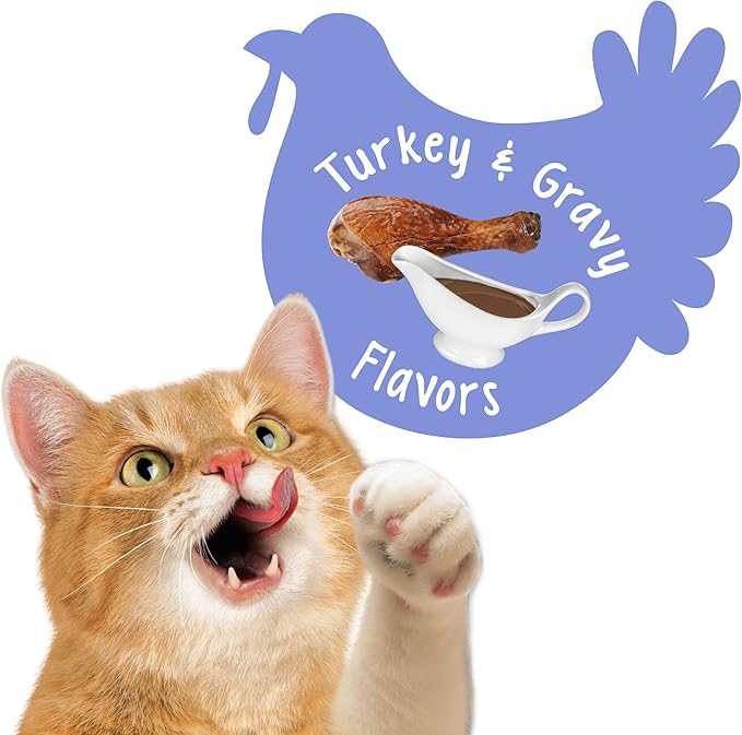 Purina Friskies Party Mix Cat Treats, Gravy-Licious Crunch with Turkey & Gravy Flavors, Crunchy Treats for Adult Cats, 2.1 Ounce Resealable Pouch (Pack of 3)