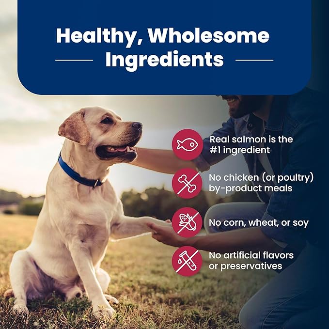 Blue Buffalo Life Protection Formula with LifeSource Bits, Senior 7+ Dry Dog Food, Salmon and Brown Rice Recipe, Chicken Free Formula, 15 lb. Bag