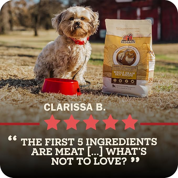 Redbarn Whole Grain Large Breed Dog Food 15 lbs - High Protein Beef & Lamb Recipe Dry Kibble with Glucosamine for Adult Dogs - Made in USA Chicken Free Wholesome Formula