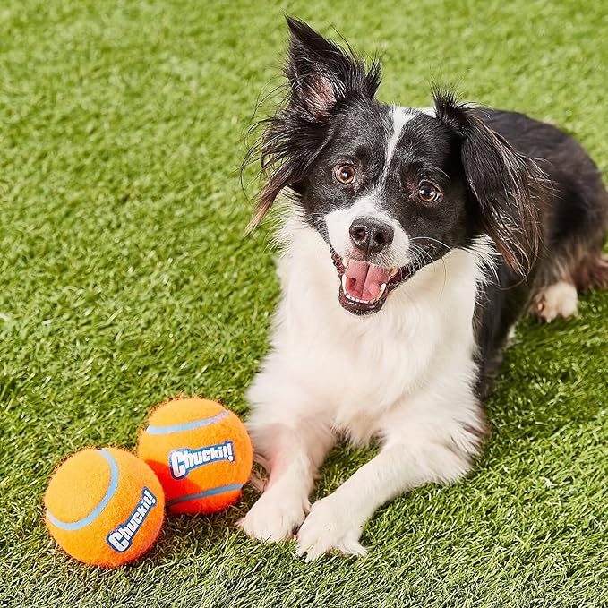 Chuckit! 6 Pack of Tennis Balls, Small, Launcher Compatible Dog Toys