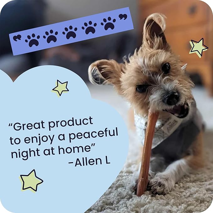 Pawstruck Bully Sticks for Dogs 6"" Long Lasting Rawhide Free Dental Chews Single Ingredient 100% Real Beef Pizzle Dog Treats 5-Pack Bonus Bag Low Odor Premium Quality