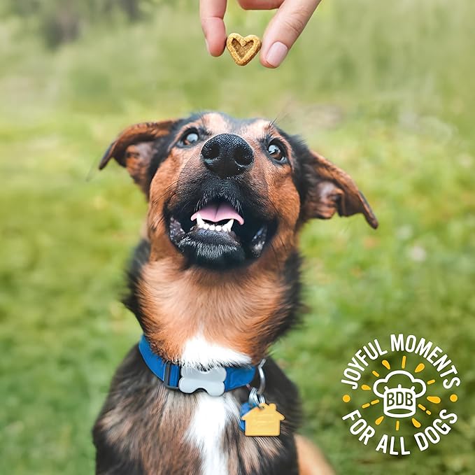 Blue Dog Bakery Perfect Trainers, Mini Dog Training Treats, Soft & Chewy, Made w/USA Beef, Healthy Treats, All Natural, Extra Small, 6 oz (Pack of 8)