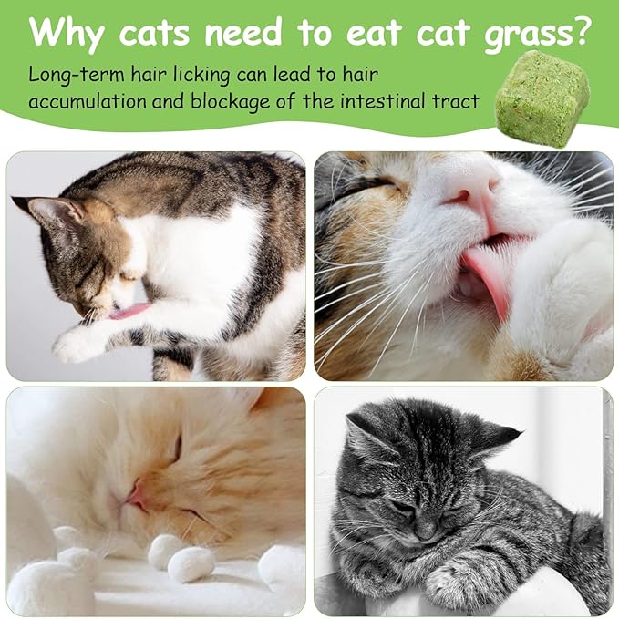 60g Cat Grass Treats for Indoor Cats, Freezed Dried Cat Grass Teething Stick Snacks for Cats, Edible Feline Chew Toys for Hairball Control and Oral Health