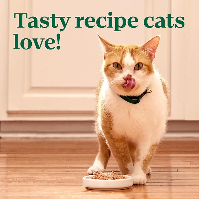 Nutro Perfect Portions Wet Cat Food Pate Salmon & Tuna Recipe, 2.64 oz. Twin-Pack Trays (24 Count, Pack of 1)